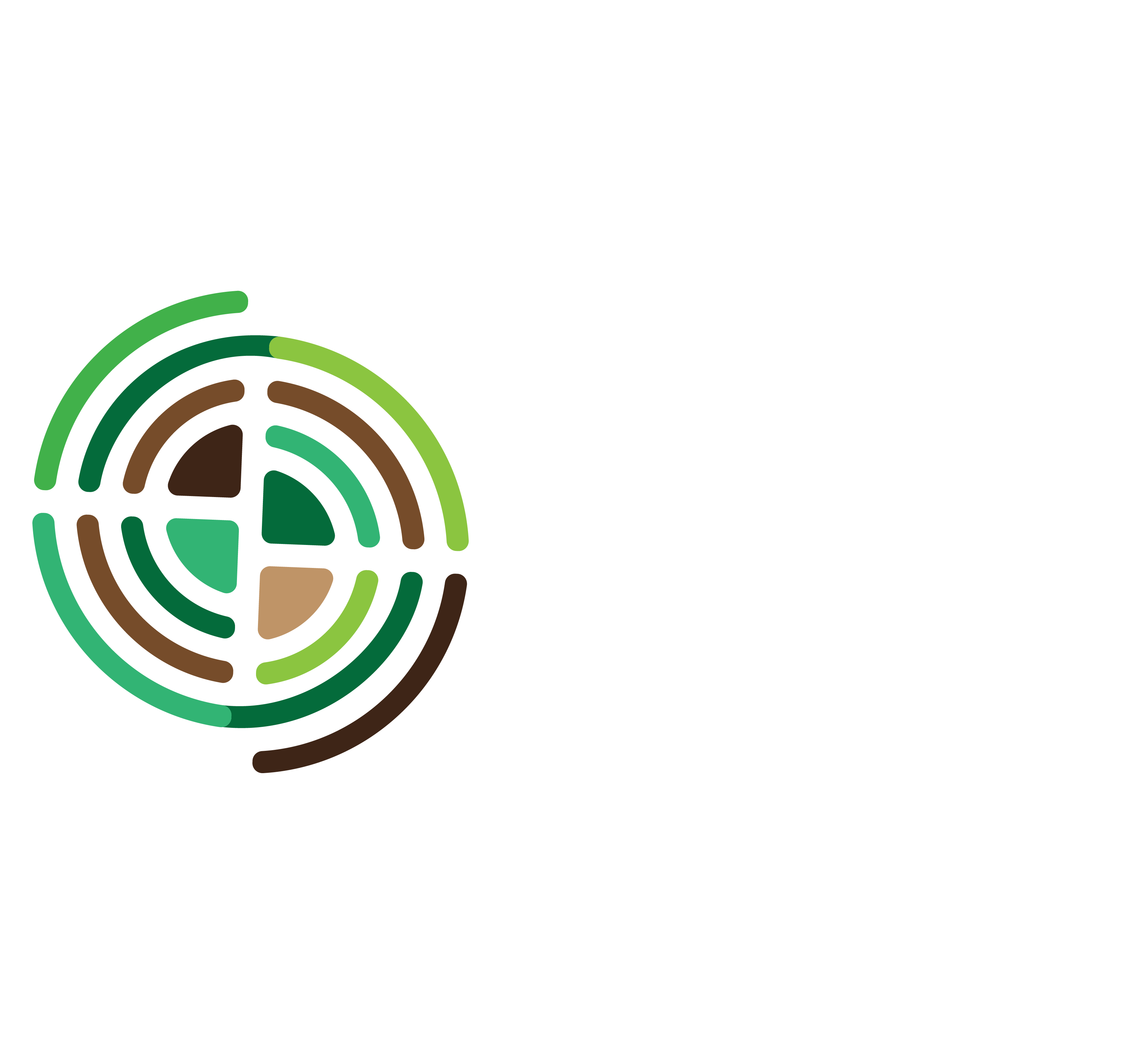 NetAndino